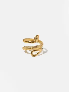 Vipera – Statement design – Titanium steel ring